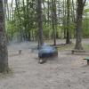 A circular fire pit surrounded by benches and trees.