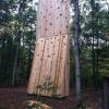 One side of a large climbing tower that curves outward as it reaches the ground.