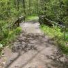 A path in the woods in summer leading to a small wooden bridge.