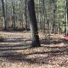 A path in the woods passes by a sign marked "3."