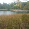 Brown grasses surround a lake that features a wooden dock.