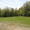 View 2 of a large, grassy field surrounded by trees on a sunny day.