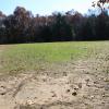 A large, grassy field with a dirt perimeter surrounded by trees on a sunny day.