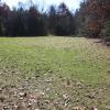 View 3 of a large, grassy field surrounded by trees on a sunny day.