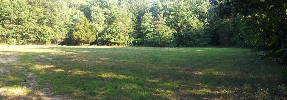 A large, grassy field surrounded by trees on a sunny day.