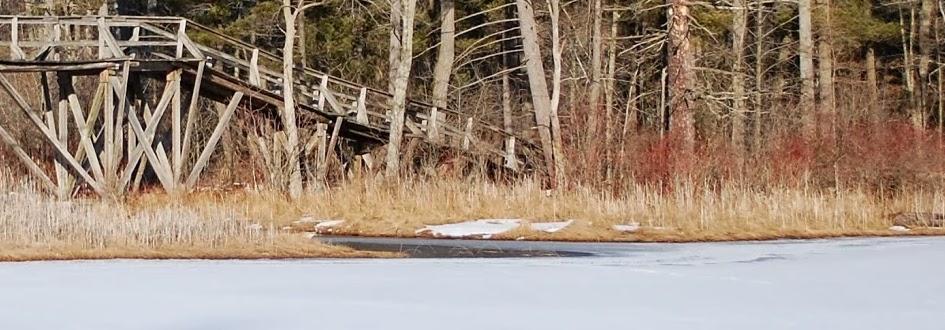 snow covered lake viewed from the dock